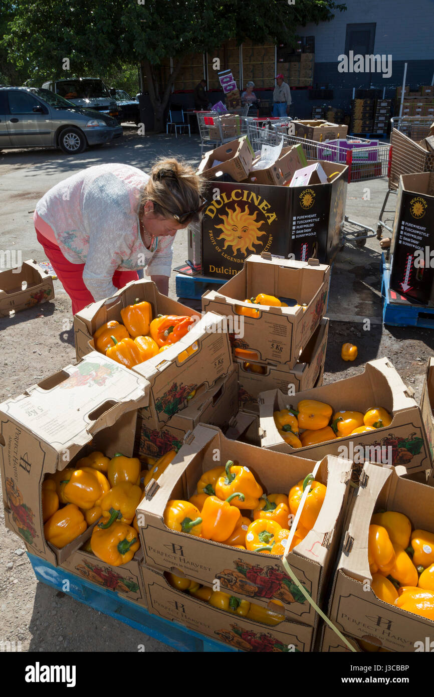 Nogales, Arizona People pick up food at the Borderlands Food Bank