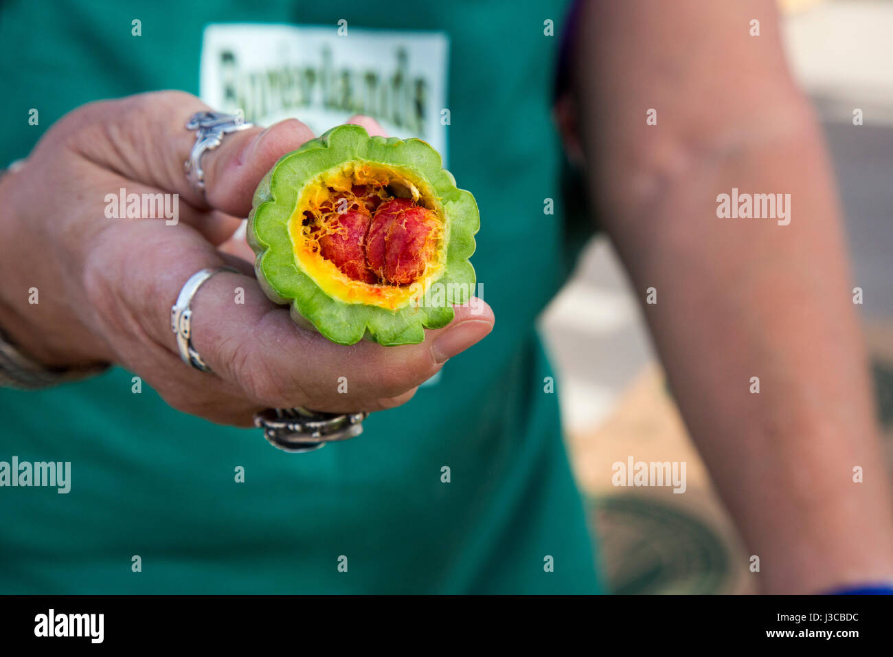 Borderland food bank hires stock photography and images Alamy