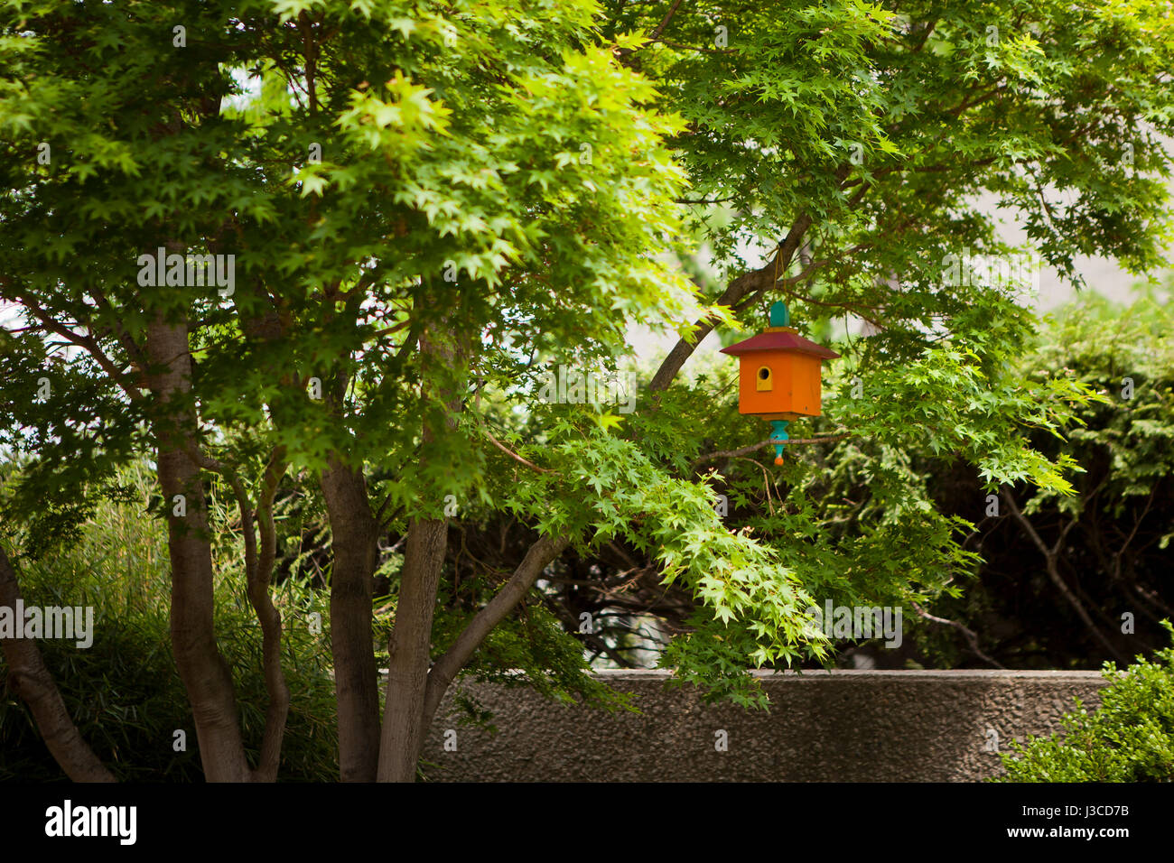 Colorful birdhouse on tree limb (nest box, (AKA, nest box, nestbox, bird box, birdbox, bird house)- USA Stock Photo