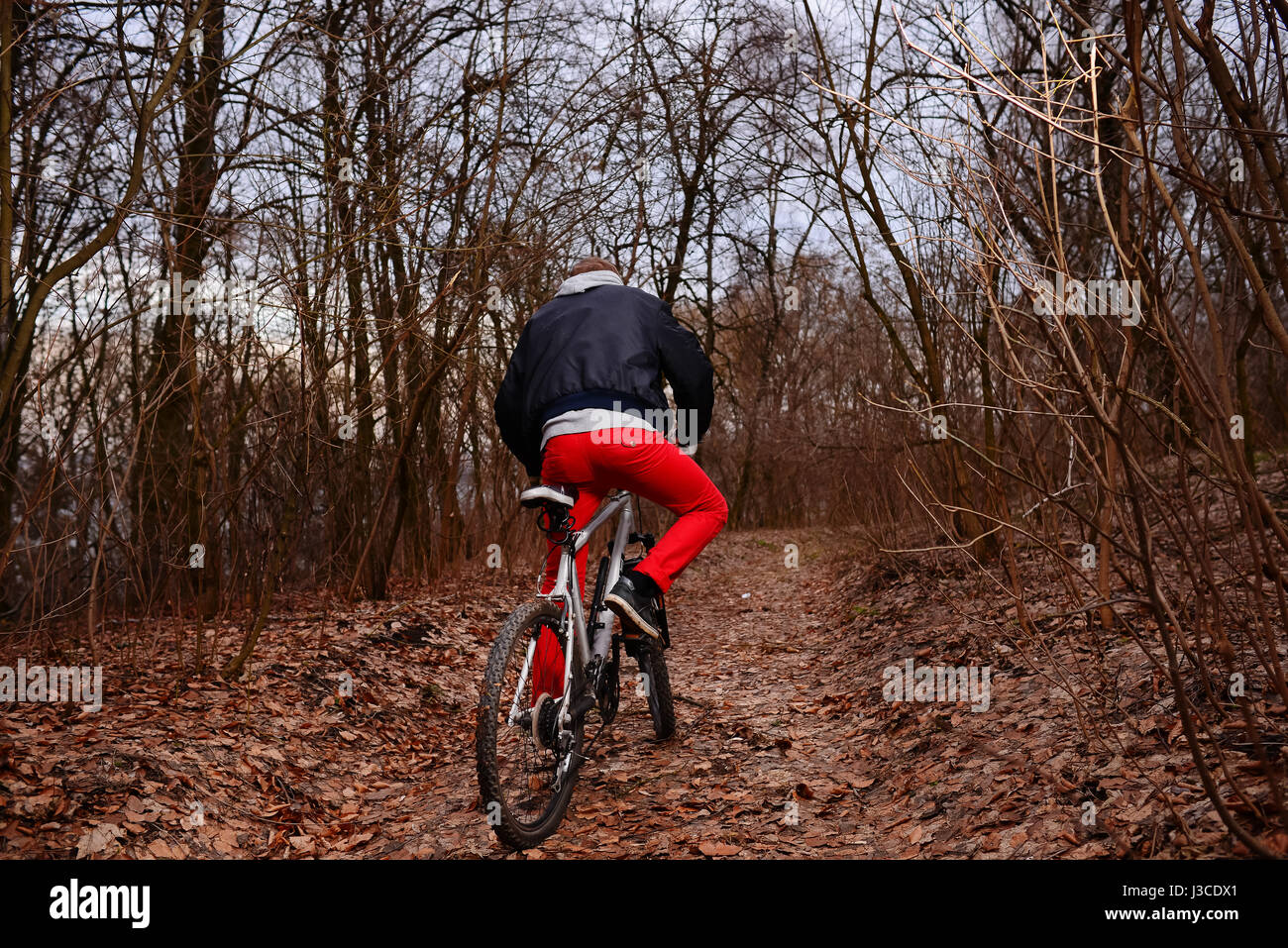 Young woman with backpack riding bicycle on mountain road in the forest Stock Photo Alamy
