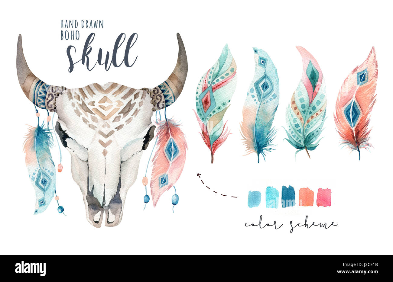 Watercolor bohemian cow skull and feather. Western mammals. Boho ...