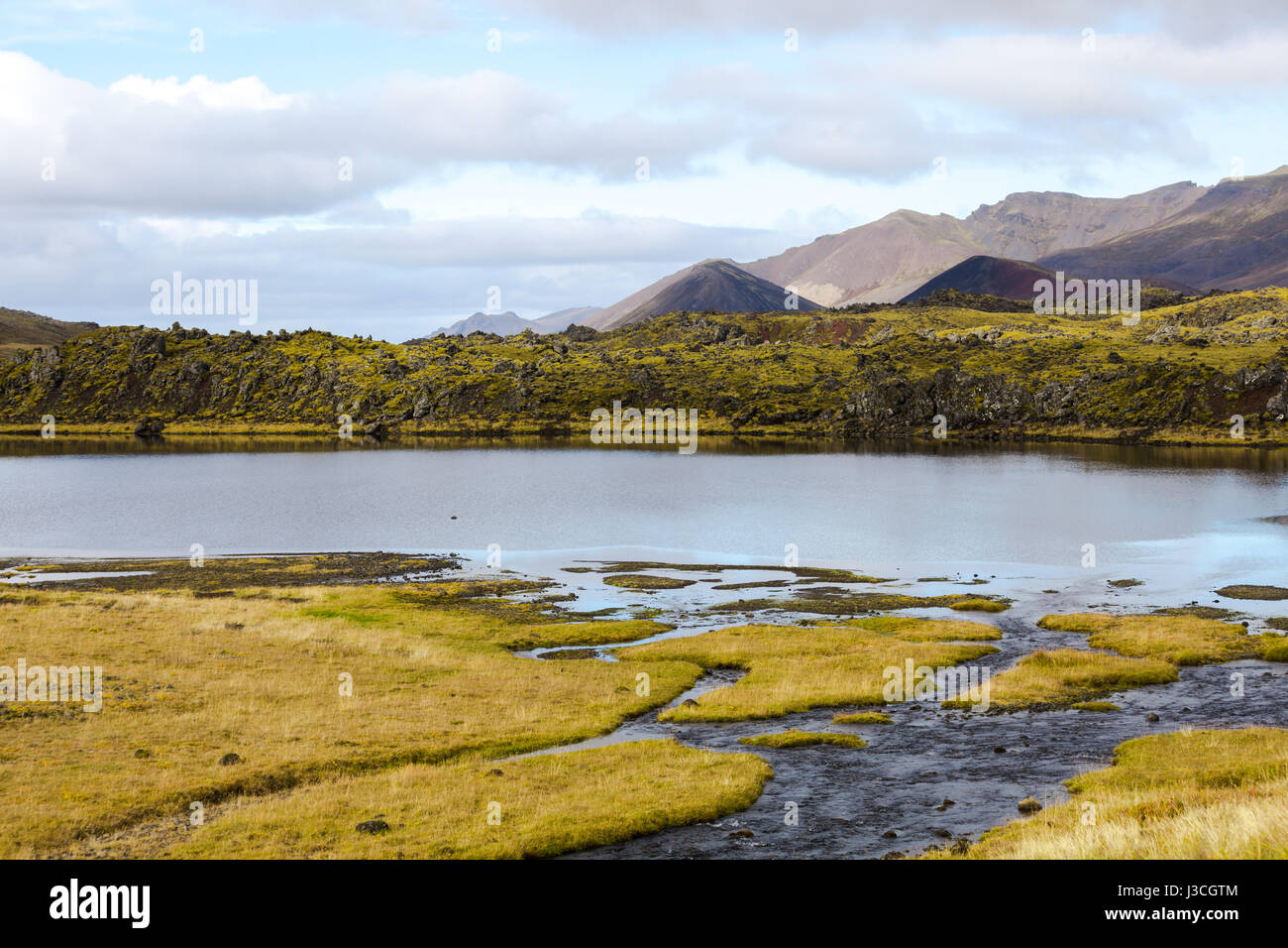 Cold water in Iceland. Stream in rocky mountains and lake side. Fresh and green grass. Beautiful mountain range in the backgrond. Stock Photo