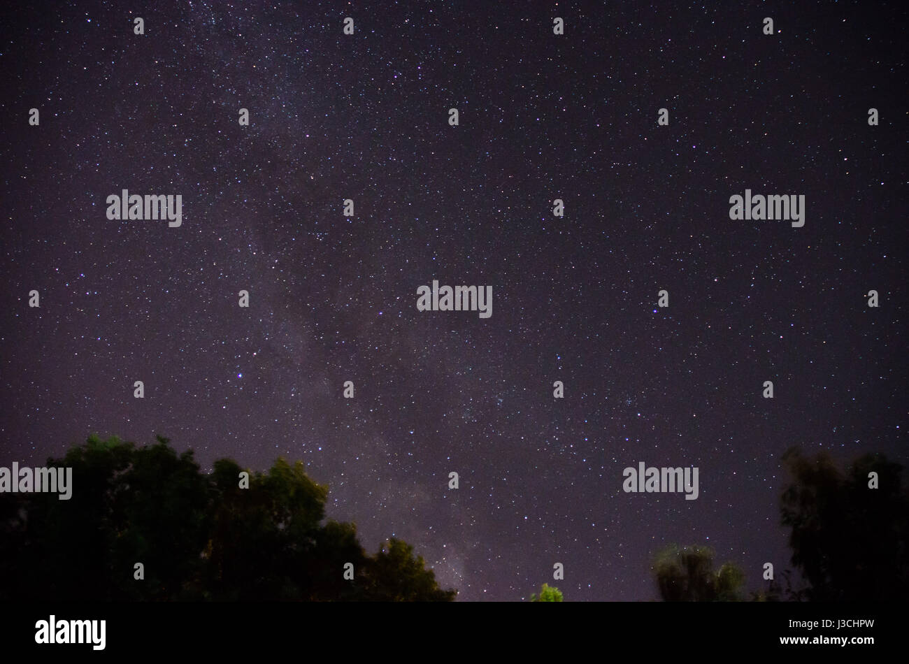 Forest trees under Milky Way in night sky Stock Photo - Alamy