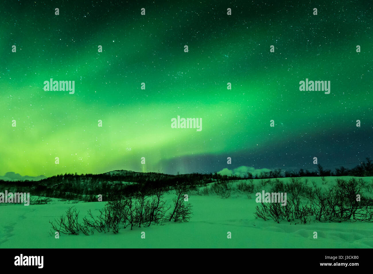 Northern lights Aurora Borealis in the night. A artic, snowy winter ...