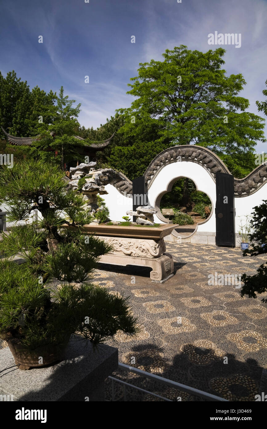 Bonsai tree exhibition in the inner courtyard in the Chinese Garden at