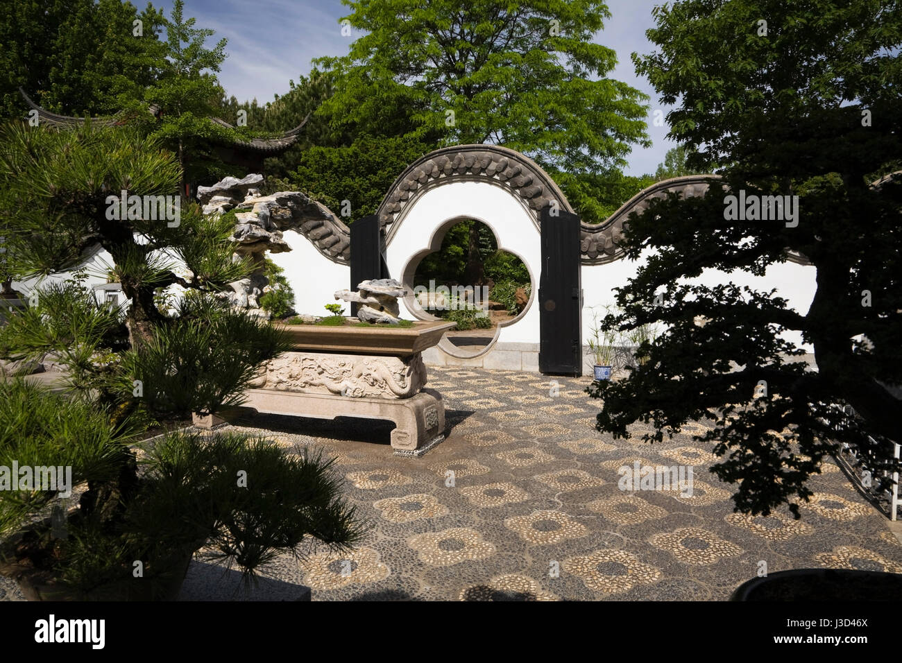 Bonsai tree exhibition in the inner courtyard in the Chinese Garden at