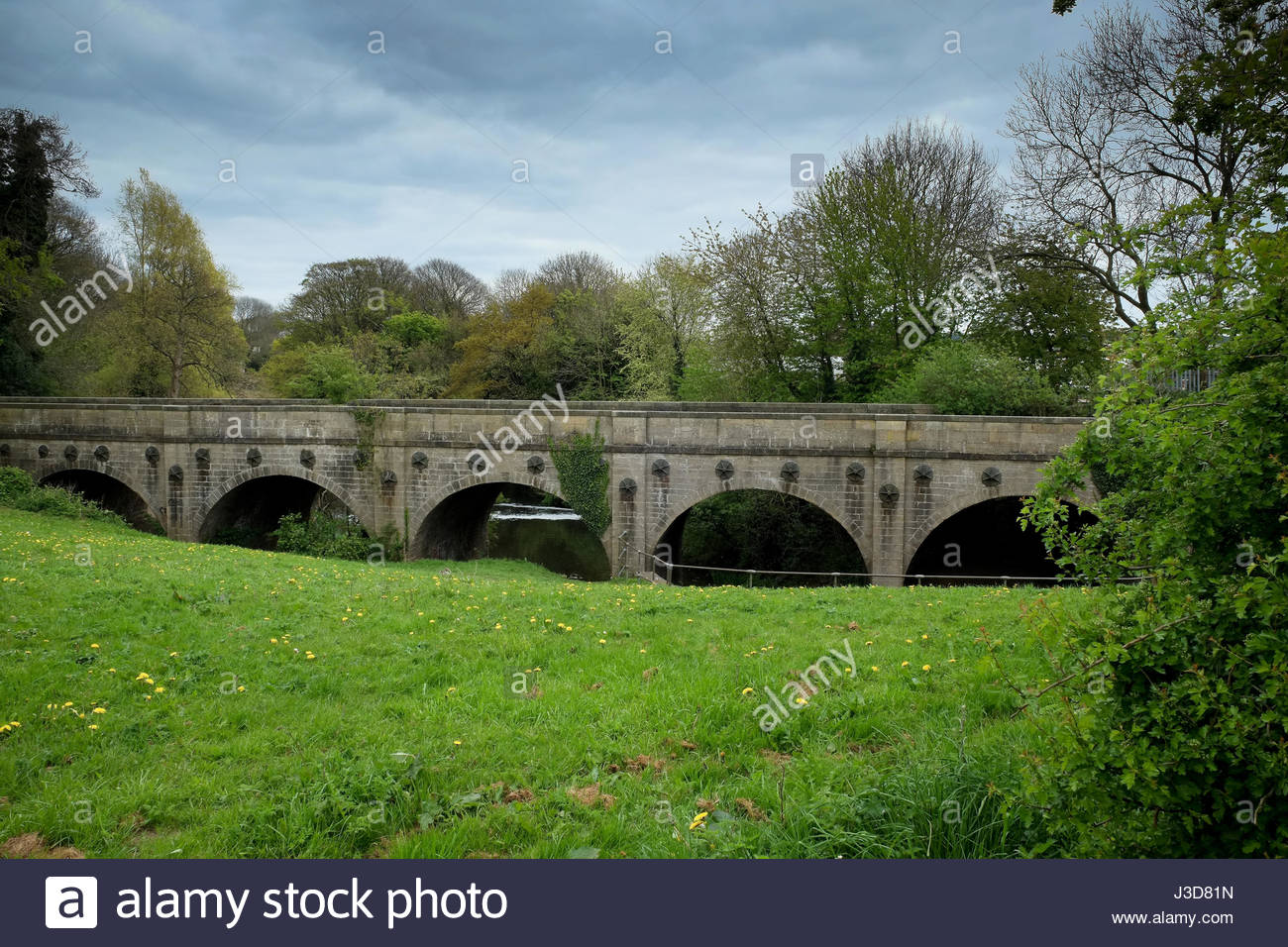 Ashfield Stock Photos & Ashfield Stock Images Alamy