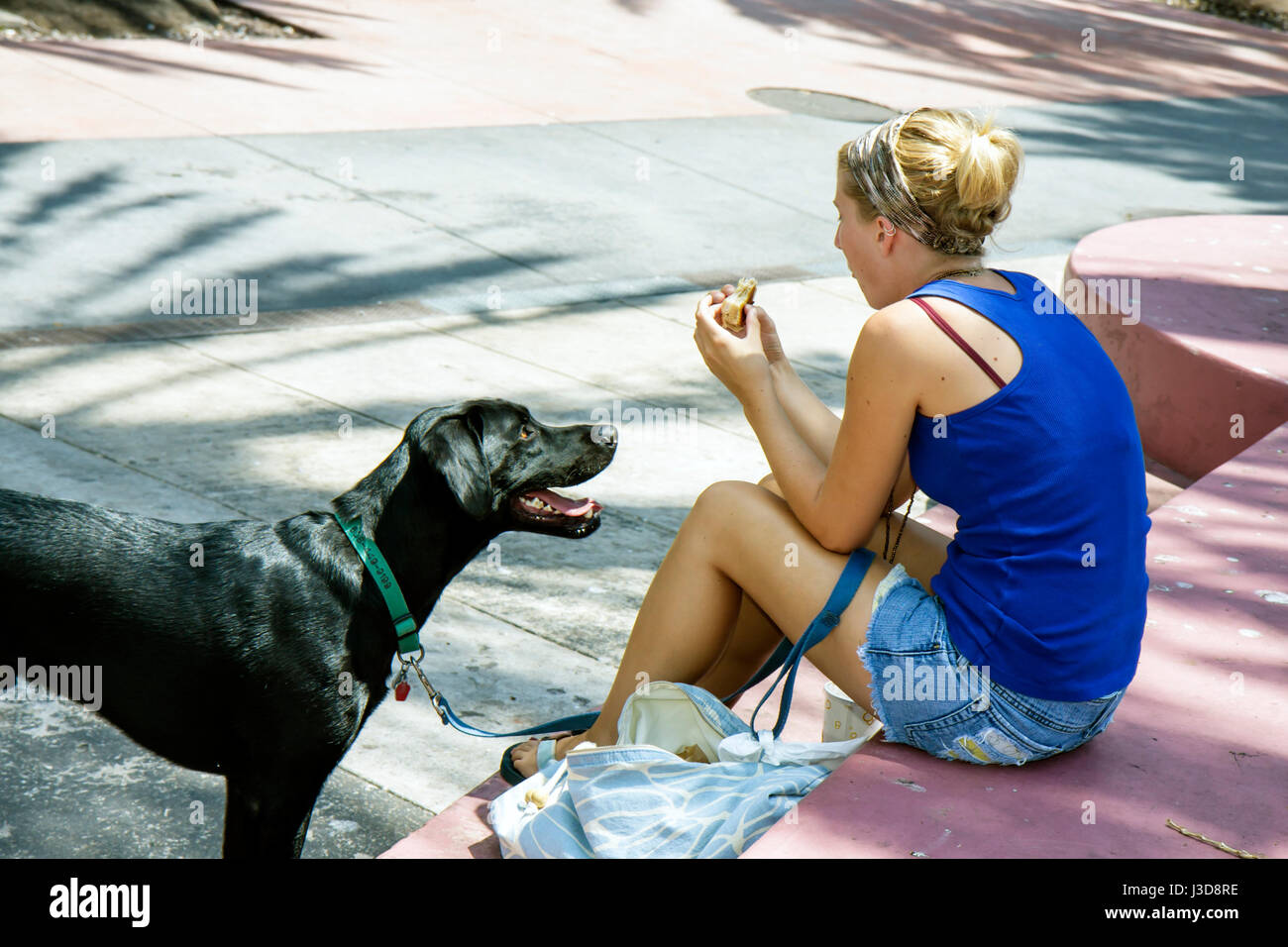 Miami Beach Florida,Lincoln Road Mall,adult adults woman women female lady,young adult,sitting seated,shade,dog dogs,Black Blacks African Africans eth Stock Photo
