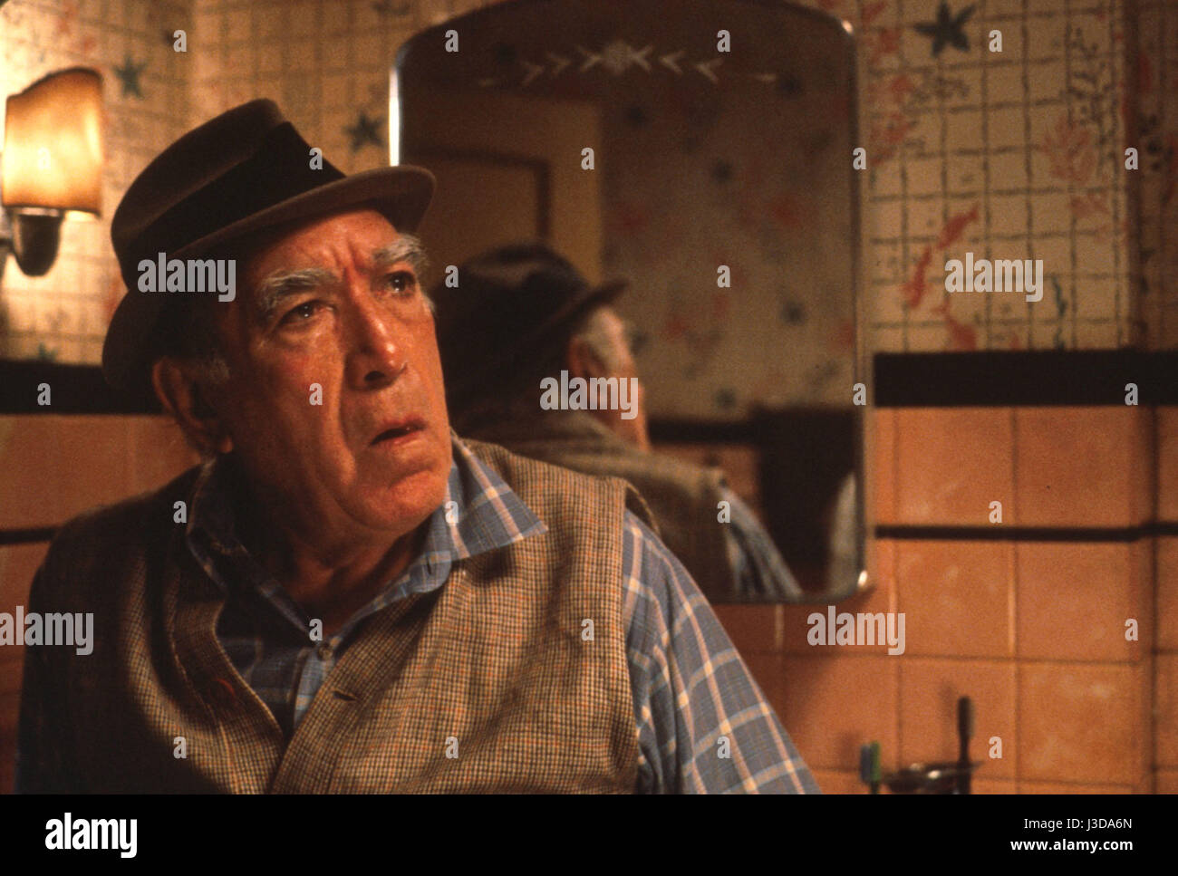 Jungle Fever Year 1991 USA Anthony Quinn Director Spike Lee Stock