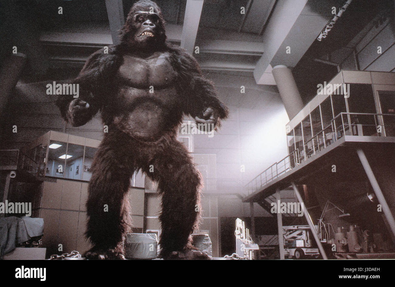 King Kong Lives  Year: 1986 US Director: John Guillermin Stock Photo