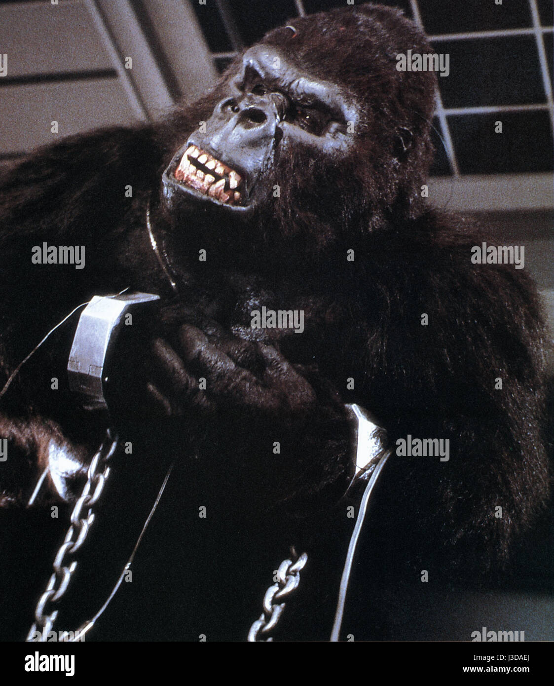 KING KONG 2 King Kong Lives Year: 1986 USA Director: John Guillermin Stock  Photo - Alamy