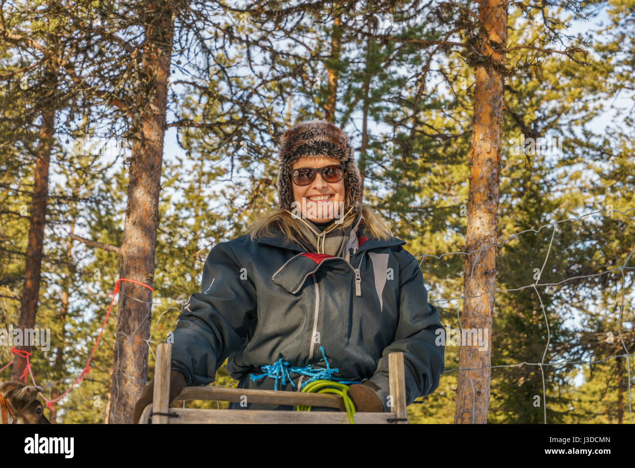 Portrait of a woman, Reindeer Sledding, Swedish Lapand, Sweden Stock Photo