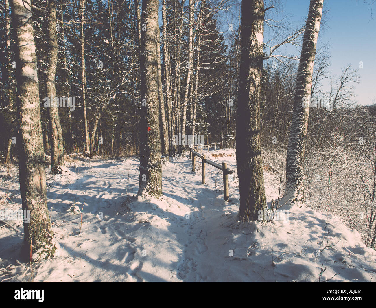 snowy winter forest landscape with snow covered trees and blue sky ...