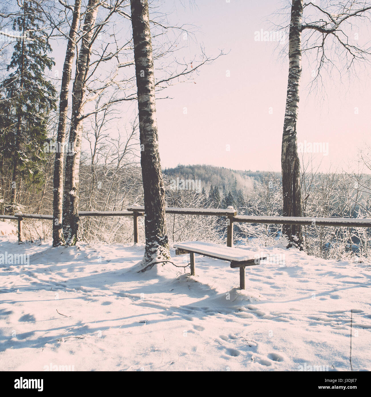 snowy winter forest landscape with snow covered trees and blue sky ...