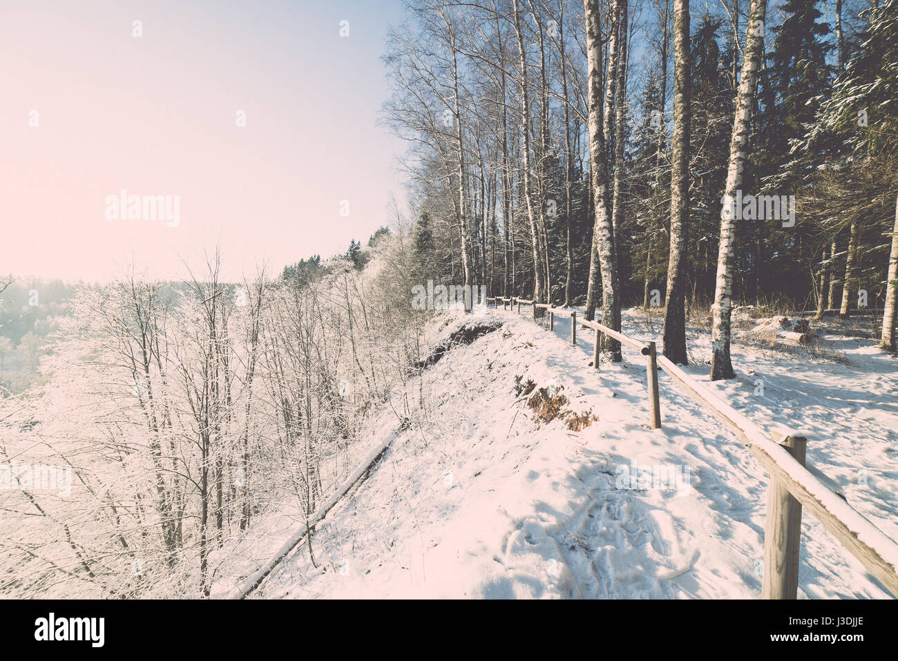 snowy winter forest landscape with snow covered trees and blue sky ...