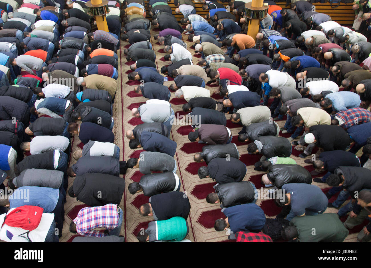 Friday prayer in a mosque in Berlin Stock Photo - Alamy