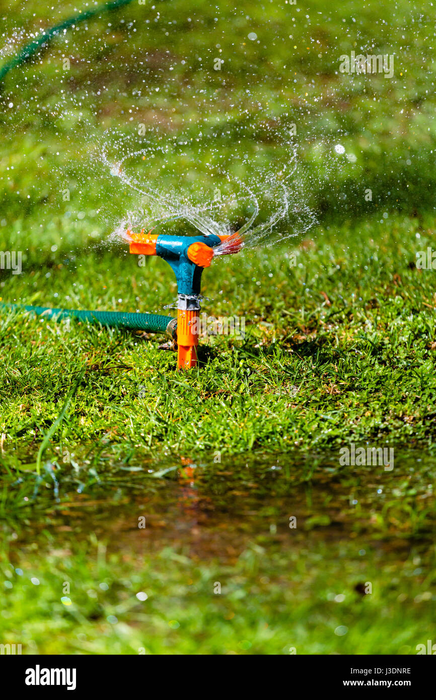 Garden sprinkler watering grass Stock Photo Alamy