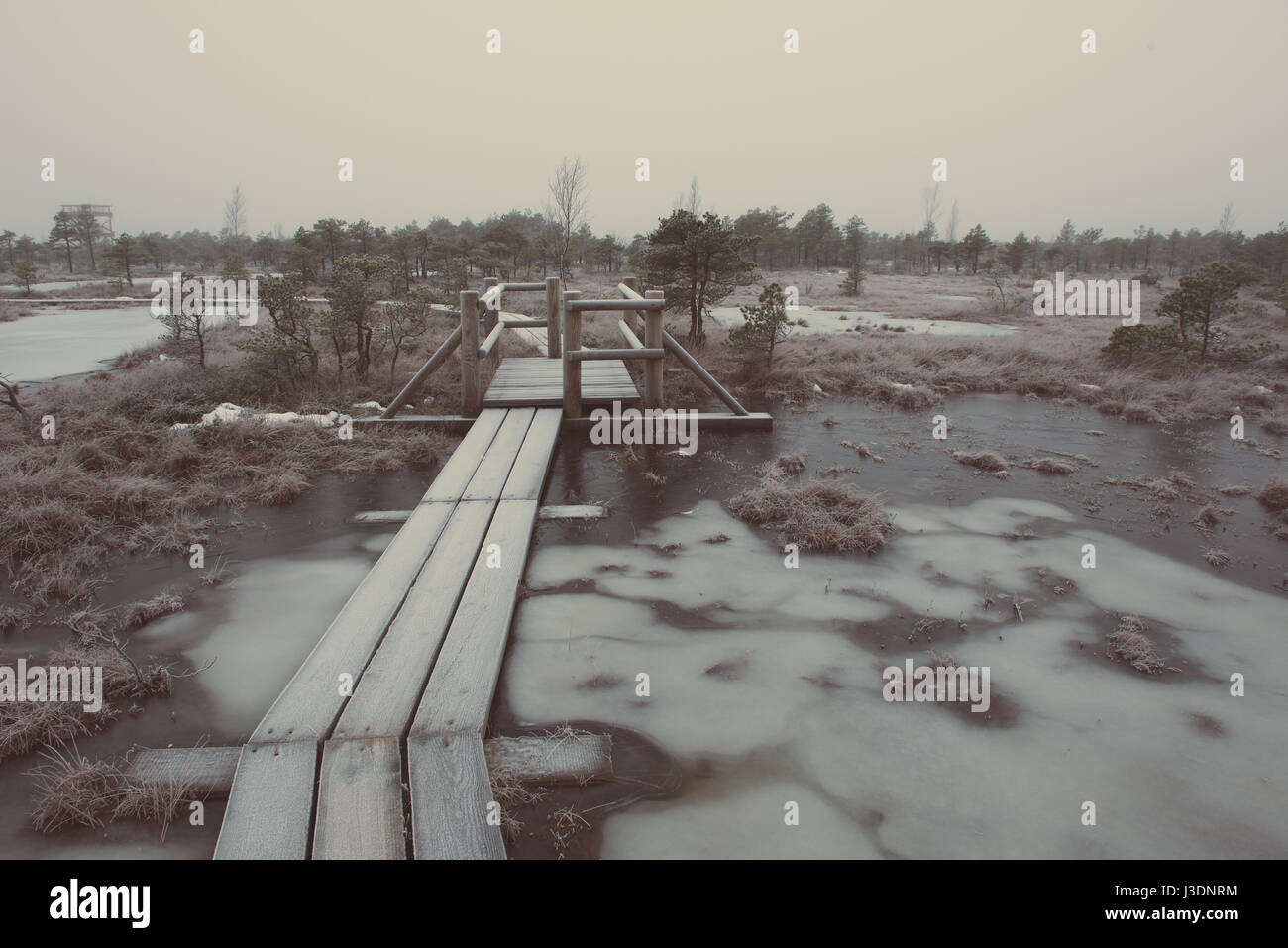 wooden boardwalk in frosty winter bog landscape with frozen nature - retro vintage effect Stock Photo