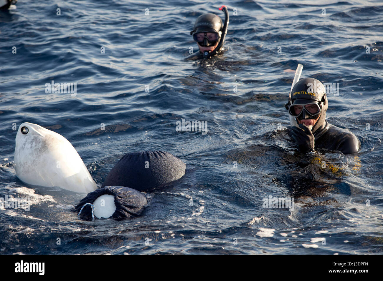 Freediving world record holder Herbert Nitsch at the training camp on