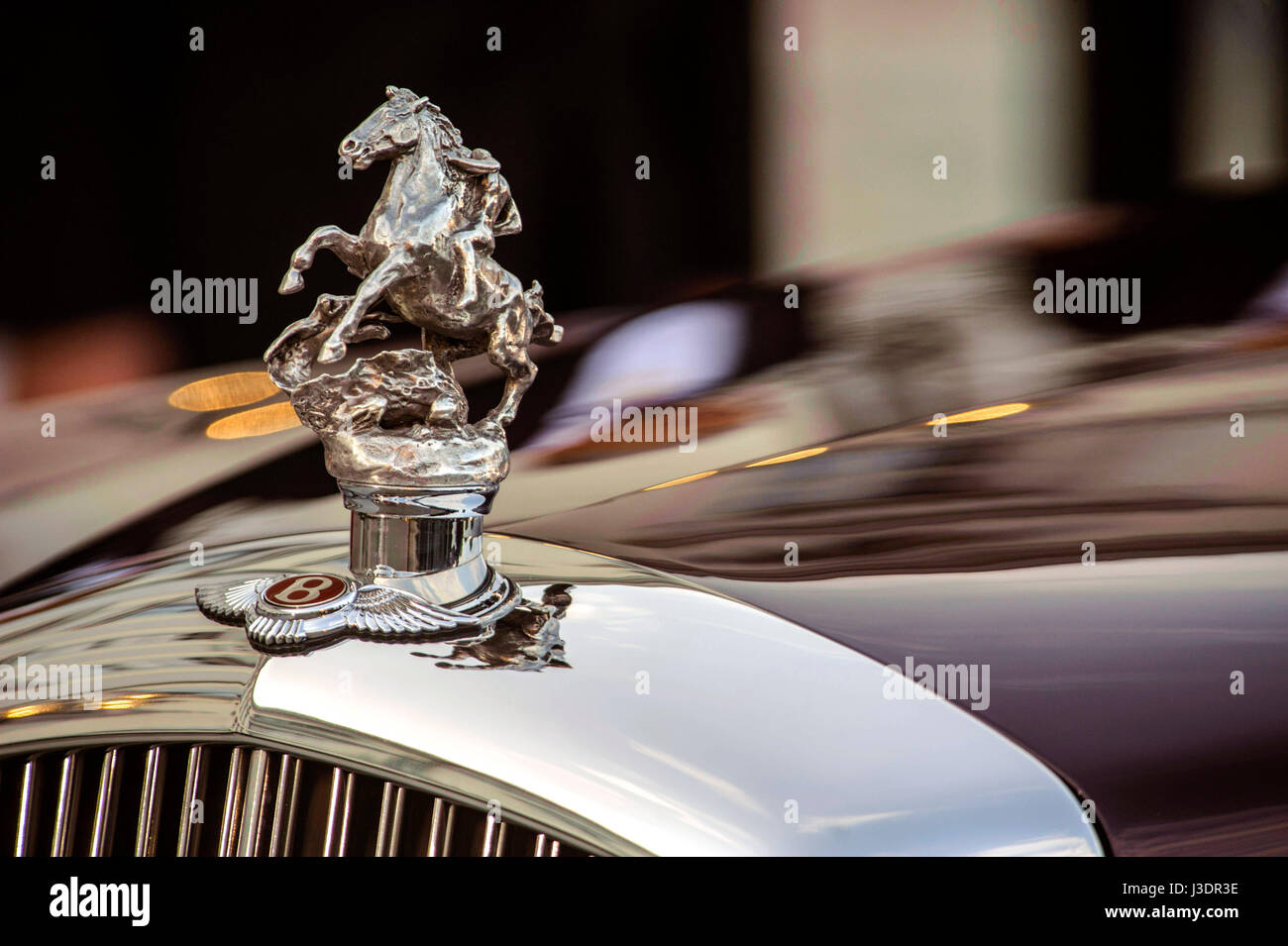royal snail britain england queen Elizabeth car hood ornament