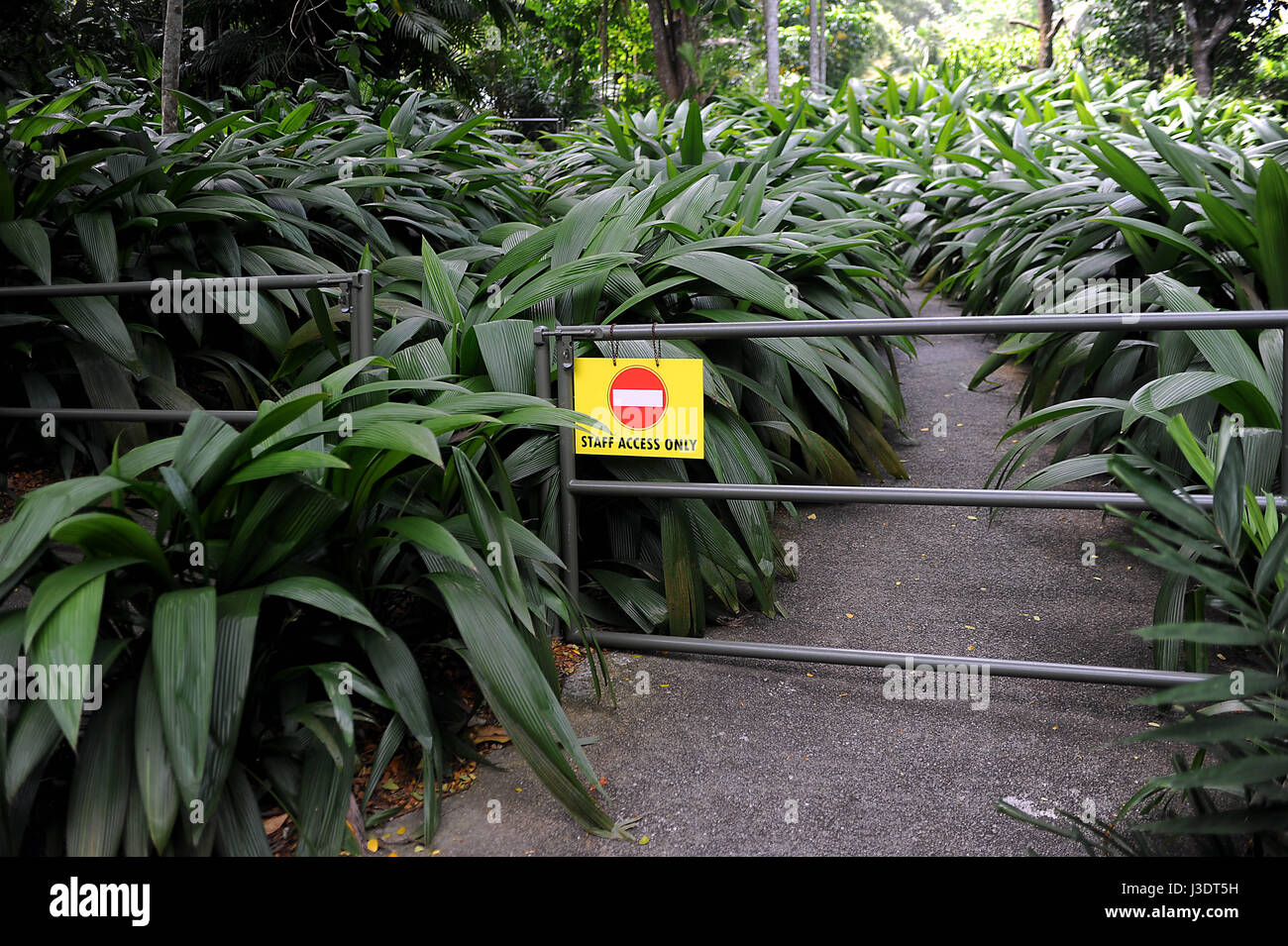 SINGAPORE. 2015. Singapore Zoo Stock Photo