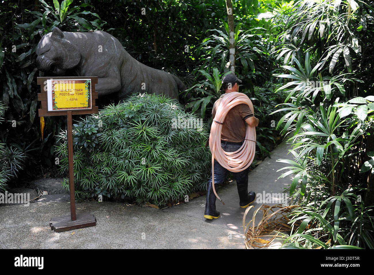 SINGAPORE. 2015. Singapore Zoo Stock Photo