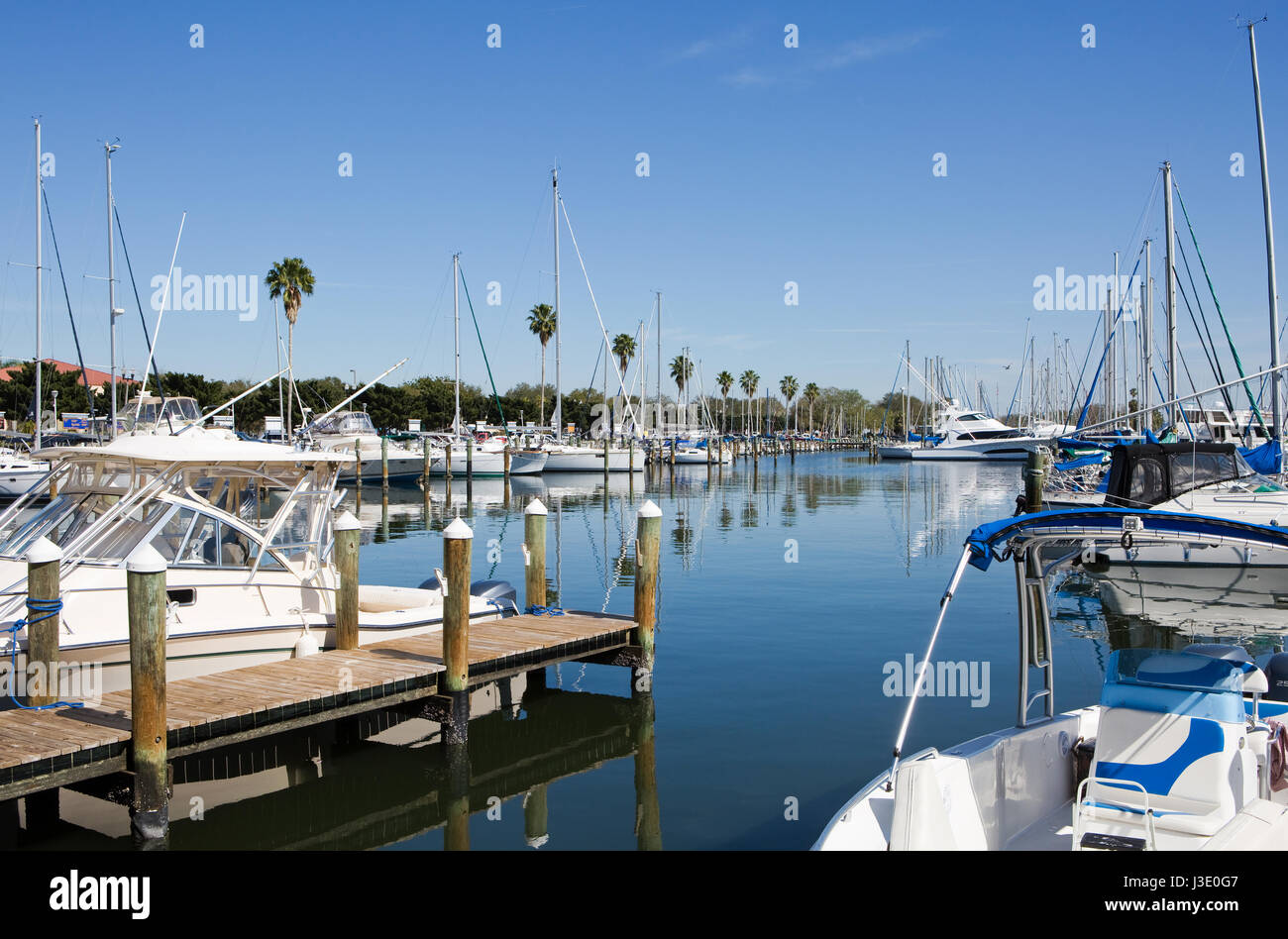 Yachts and sailboats are docked at the marina in St. Petersburg, Florida, USA. Stock Photo