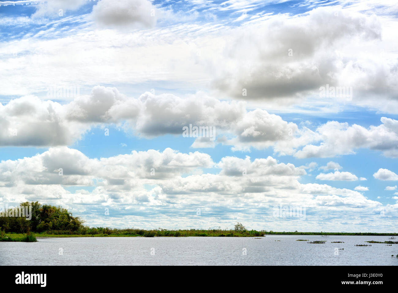 Wetlands in Nature Reserve Esteros del Ibera National Park, Colonia Carlos Pellegrini, Corrientes, Argentina. Stock Photo