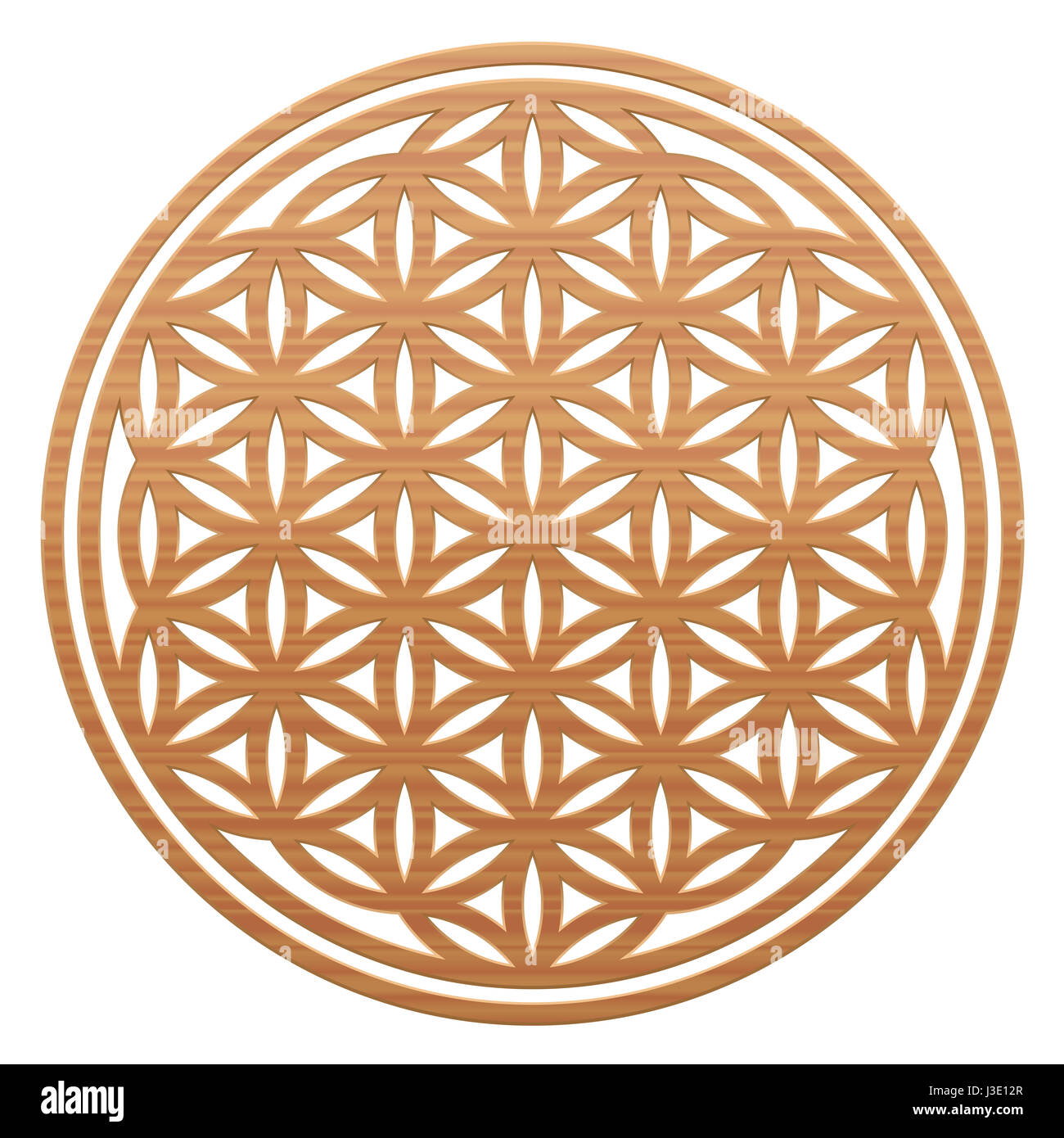Flower of Life - wooden style, as a symbol for natural spirituality and healing nature - illustration on white background. Stock Photo