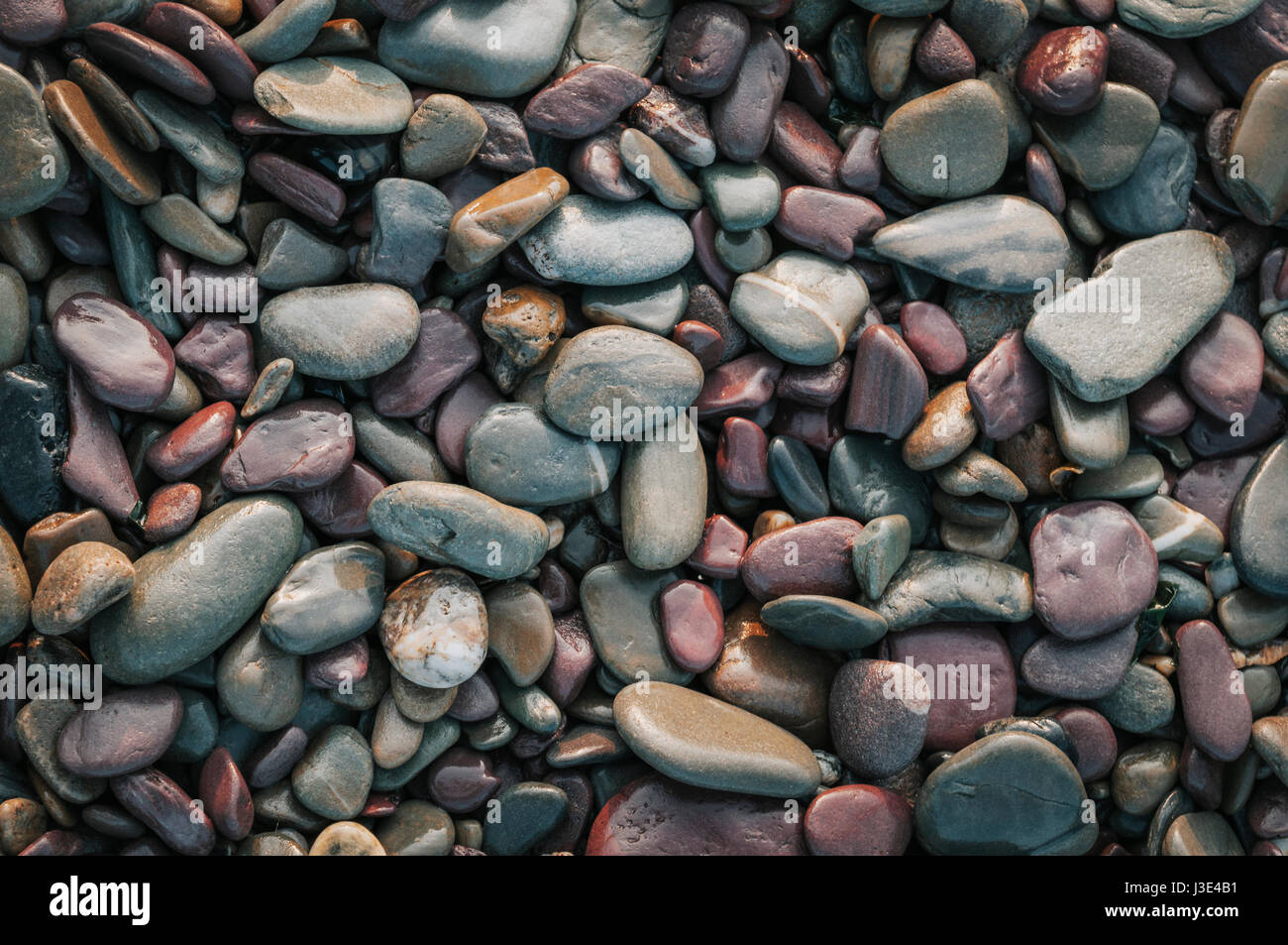 Wet Colorful Stones on Beach Stock Photo Alamy