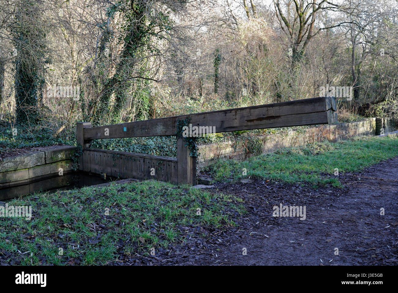 Glamorganshire canal at Forest farm Cardiff Wales UK, Wooden lock gate, nature reserve Stock Photo