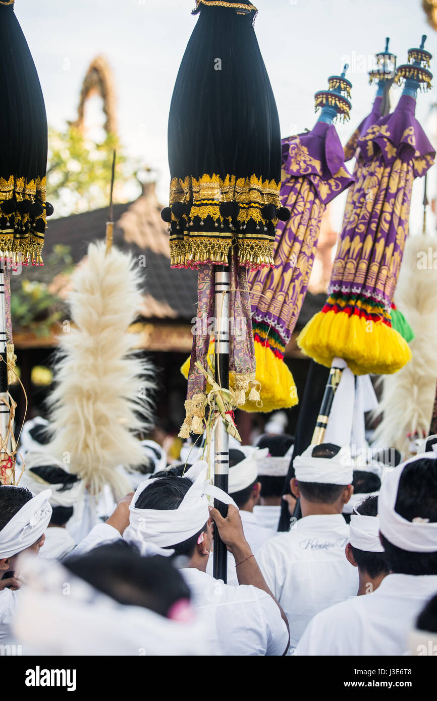 Big colourful closed parasols being carried during Bali Ceremony by Balinese men wearing traditional ceremonial clothes with full white dress code Stock Photo