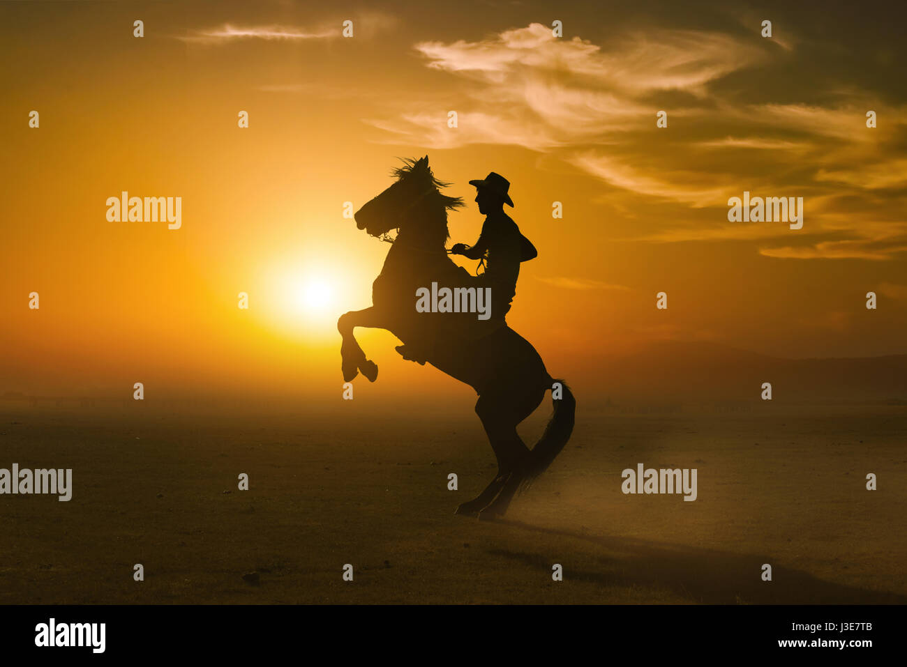 silhouette riding a horse on sunset background Stock Photo