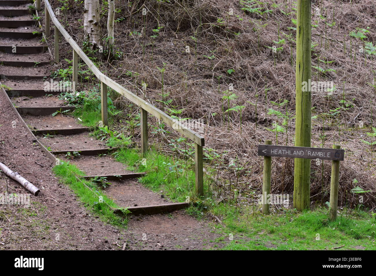 Heathland ramble sign and steps at Dersingham bog nature reserve, Dersingham, Norfolk, Unitied Kingdom Stock Photo