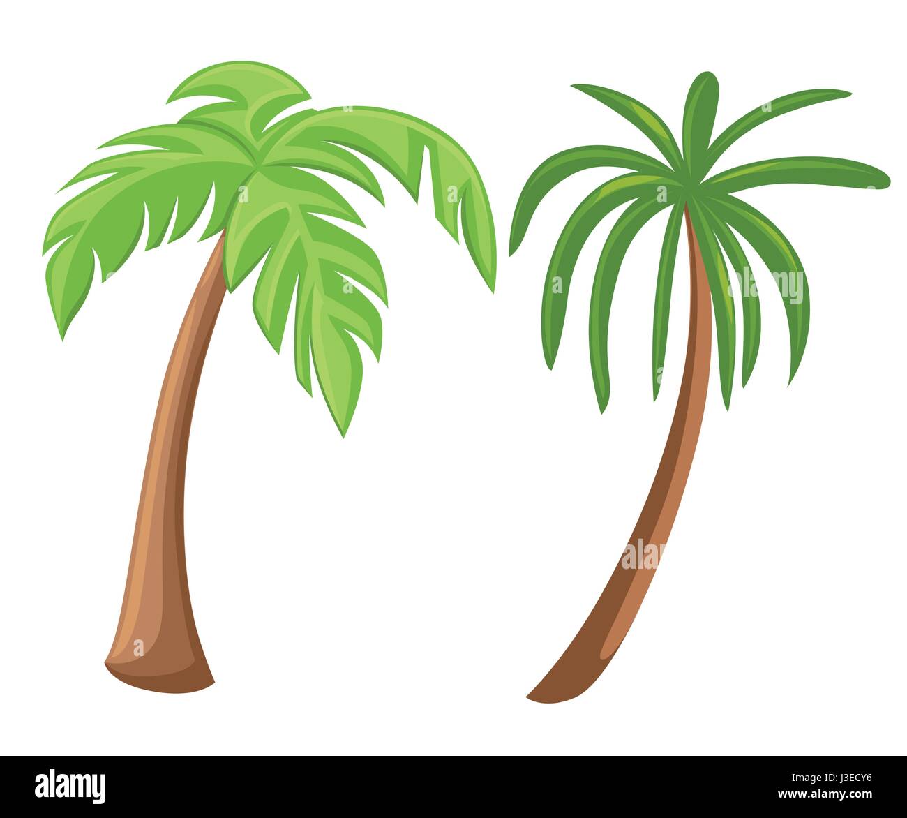 Natural california palm trees on Stock Vector Images Alamy