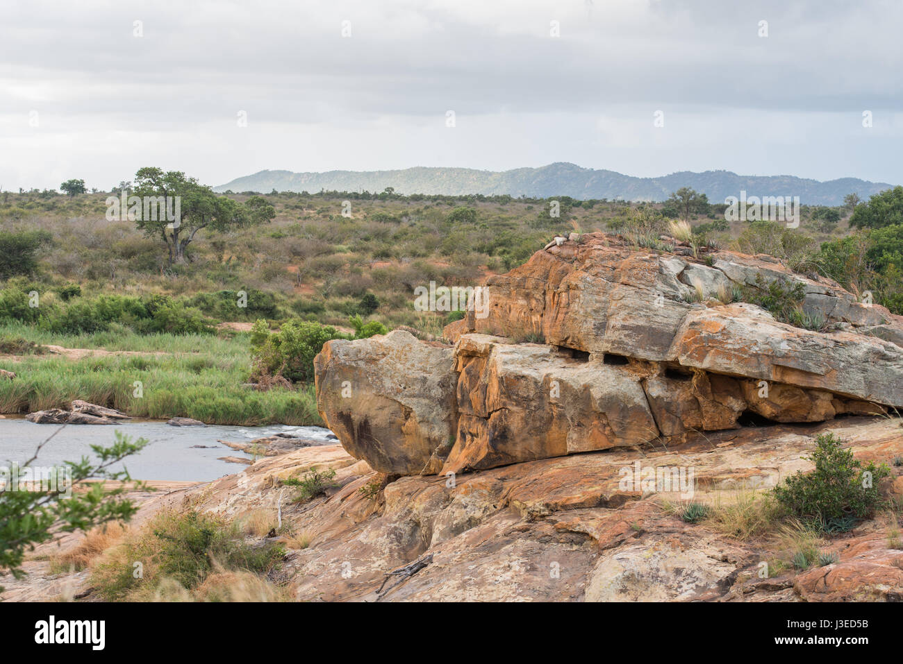 Scenic landscape of a rocky outcrop along the Sabie River with mountains in the background Stock Photo