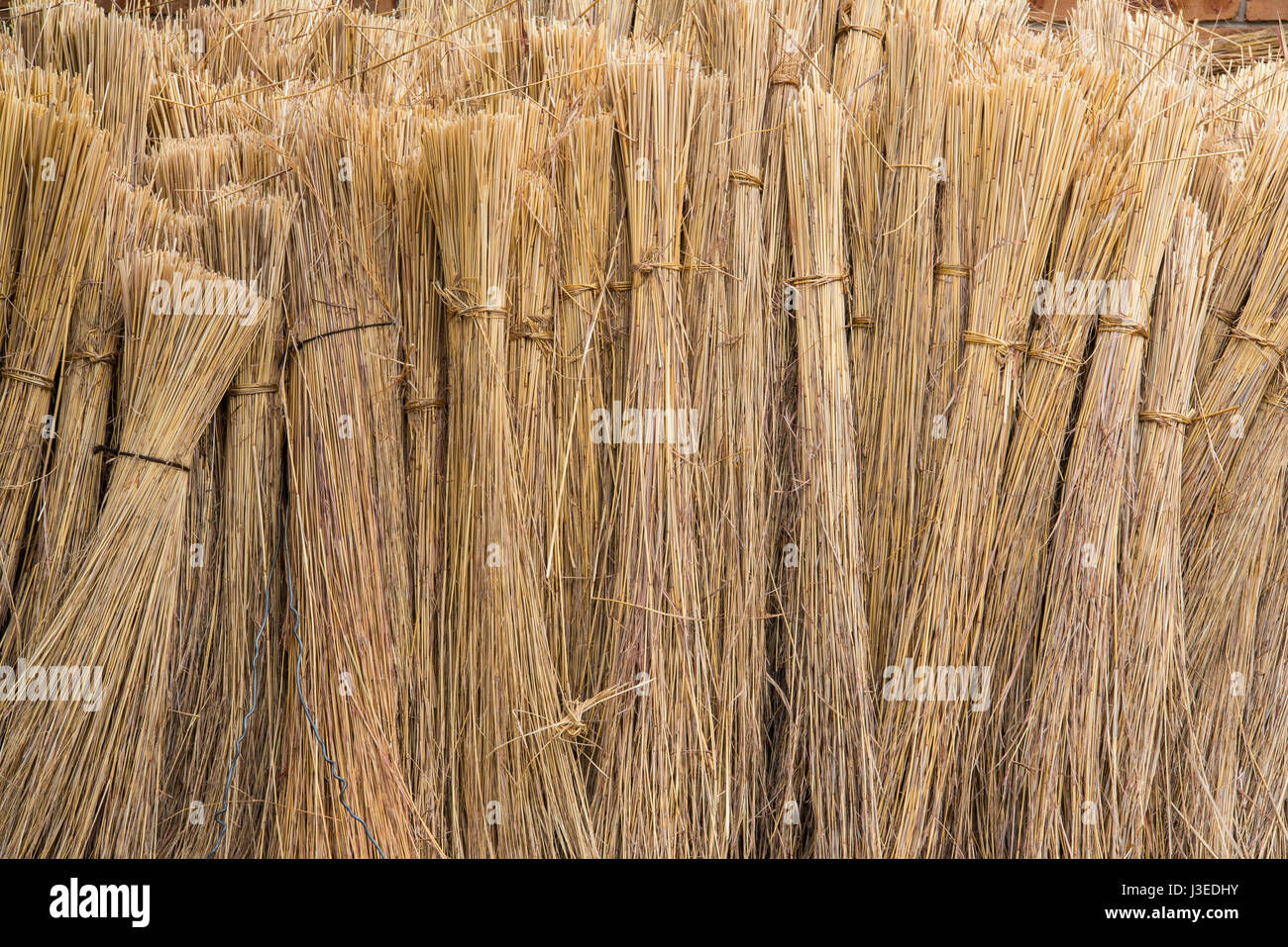 Bundles of thatching grass stacked together ready for use Stock