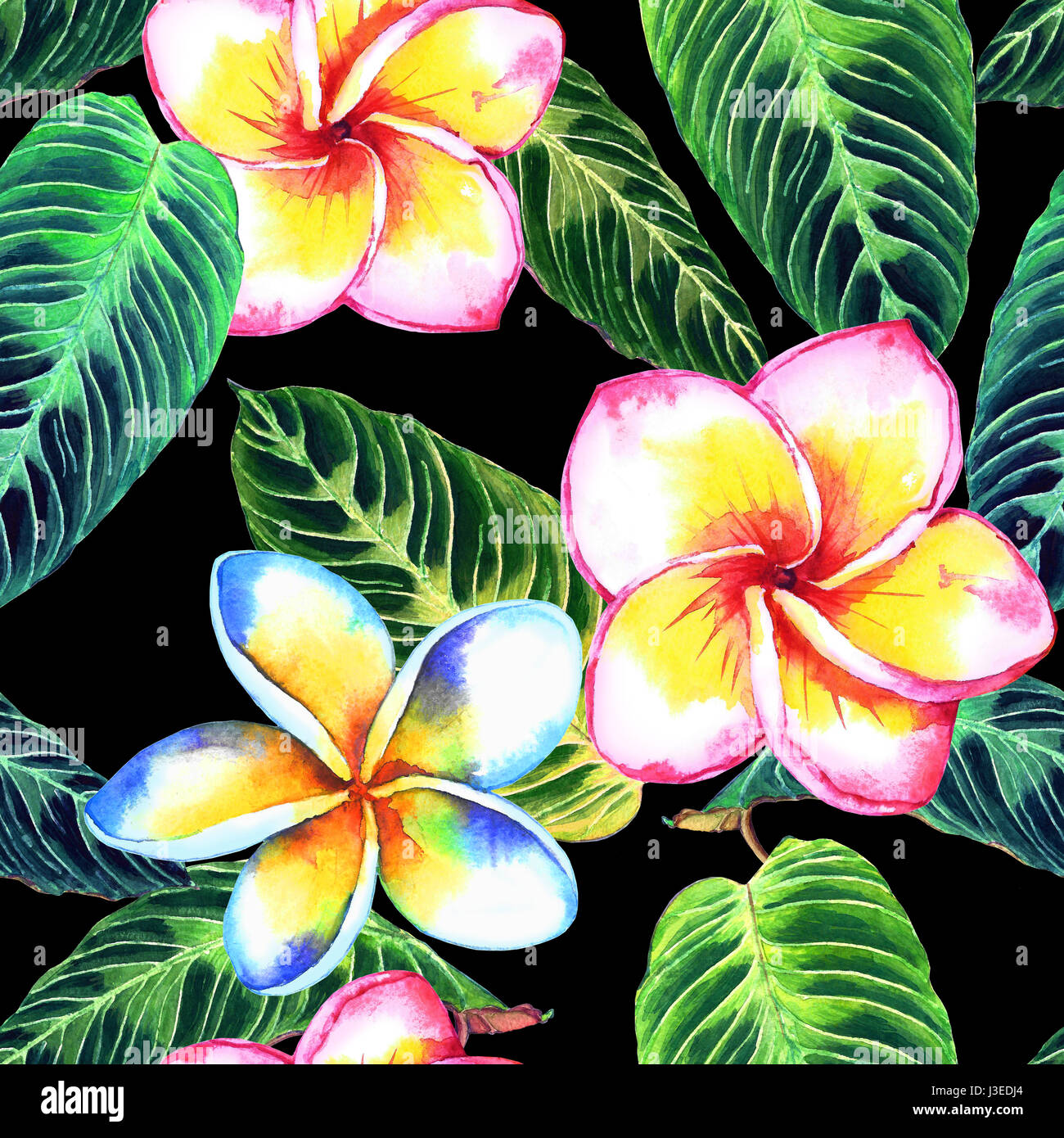 Seamless floral tropical pattern. Hand painted watercolor exotic ...