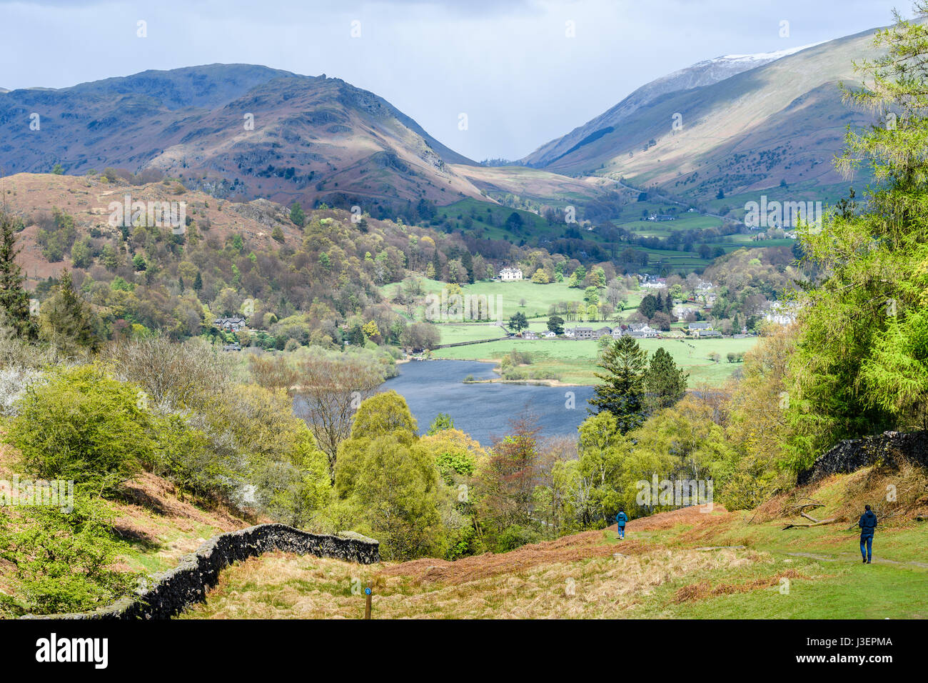 A couple of ramblers descend a hill to the lake at Grasmere on a sunny day in springtime, Lake district, Cumbria, England. Stock Photo