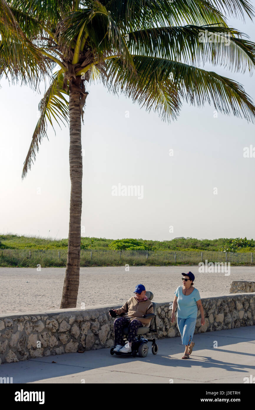 Miami Beach Florida,Lummus Park,palm tree,man men male,woman female women,couple,senior seniors citizen citizens,wheelchair,disabled,stone wall,walkwa Stock Photo