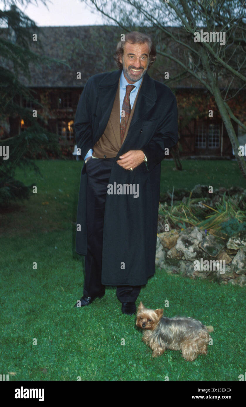 L Homme Et Son Chien Belmondo Jean Paul Belmondo Son Chien Stock Photos & Jean Paul Belmondo Son