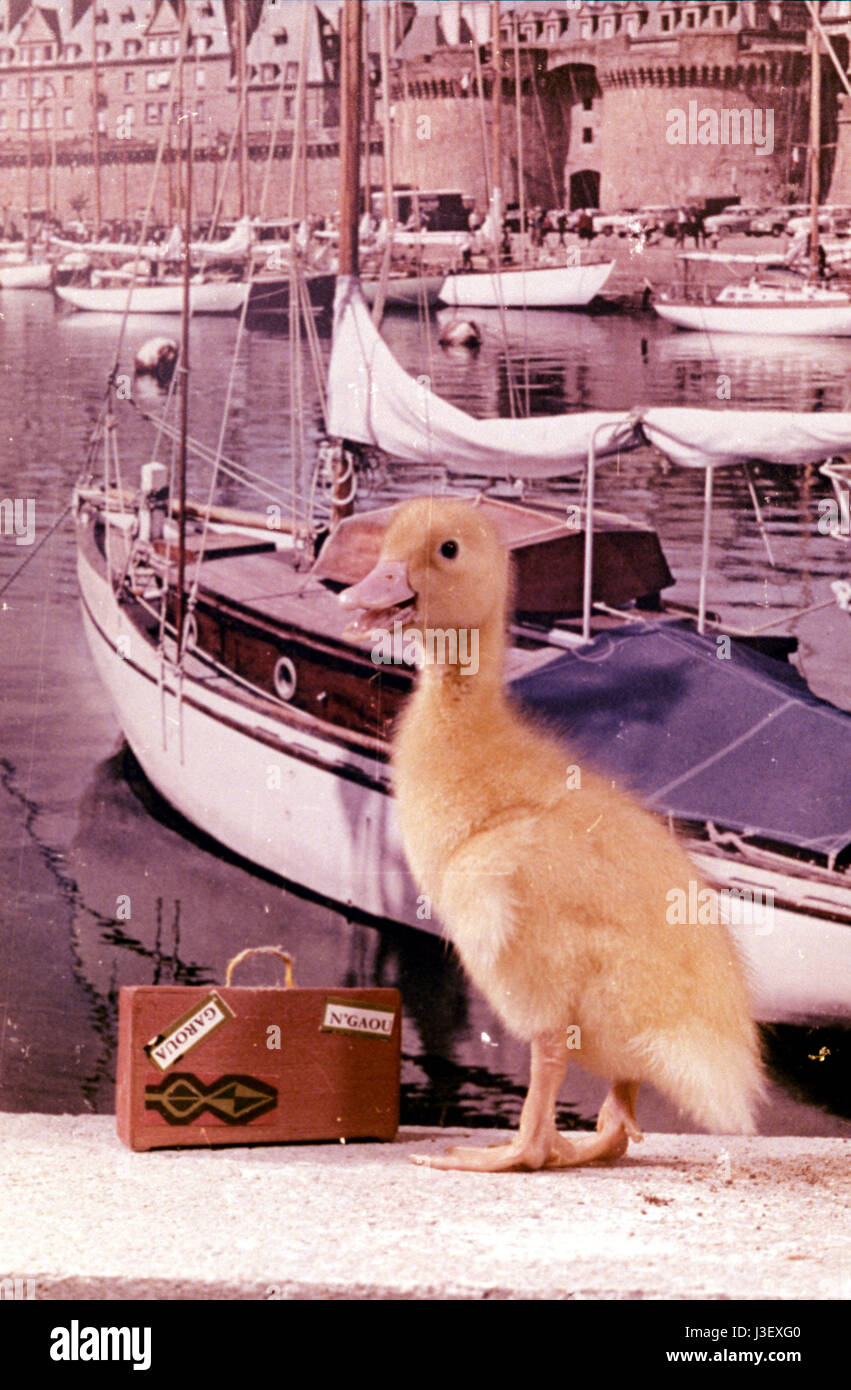 Saturnin prend des vacances Year 1964 France Animation Director