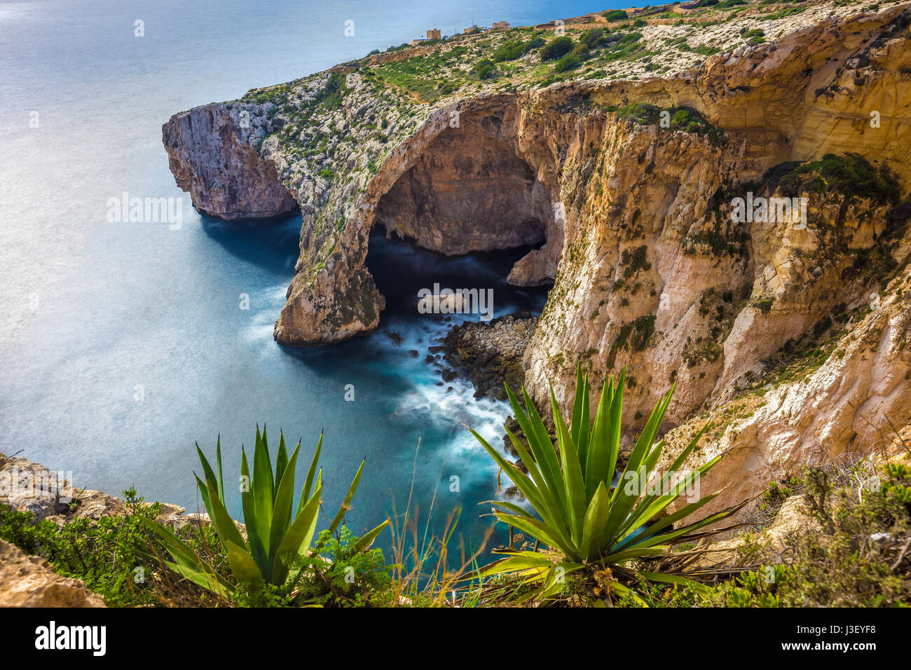 Malta - The famous arch of Blue Grotto cliffs with green leaves Stock Photo