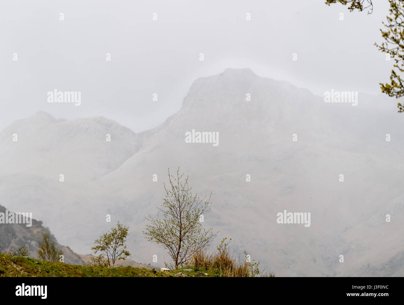 Hazy contours of Langdale peaks on a misty day in springtime, seen from  Elterwater, lake district, Cumbria, England. Stock Photo