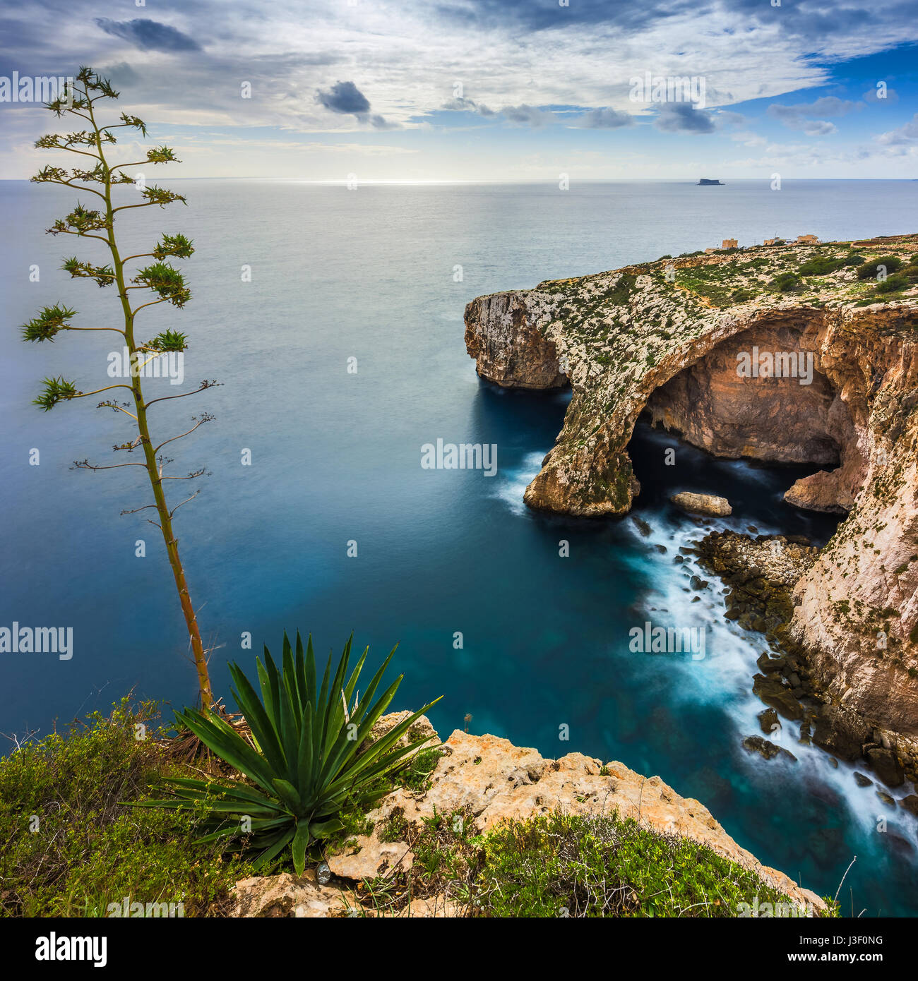 Malta - The famous arch of Blue Grotto cliffs with green leaves and tree Stock Photo