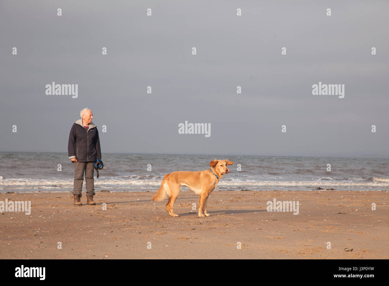 man walks his dog on Portobello Beach in Edinburgh, the capital town of