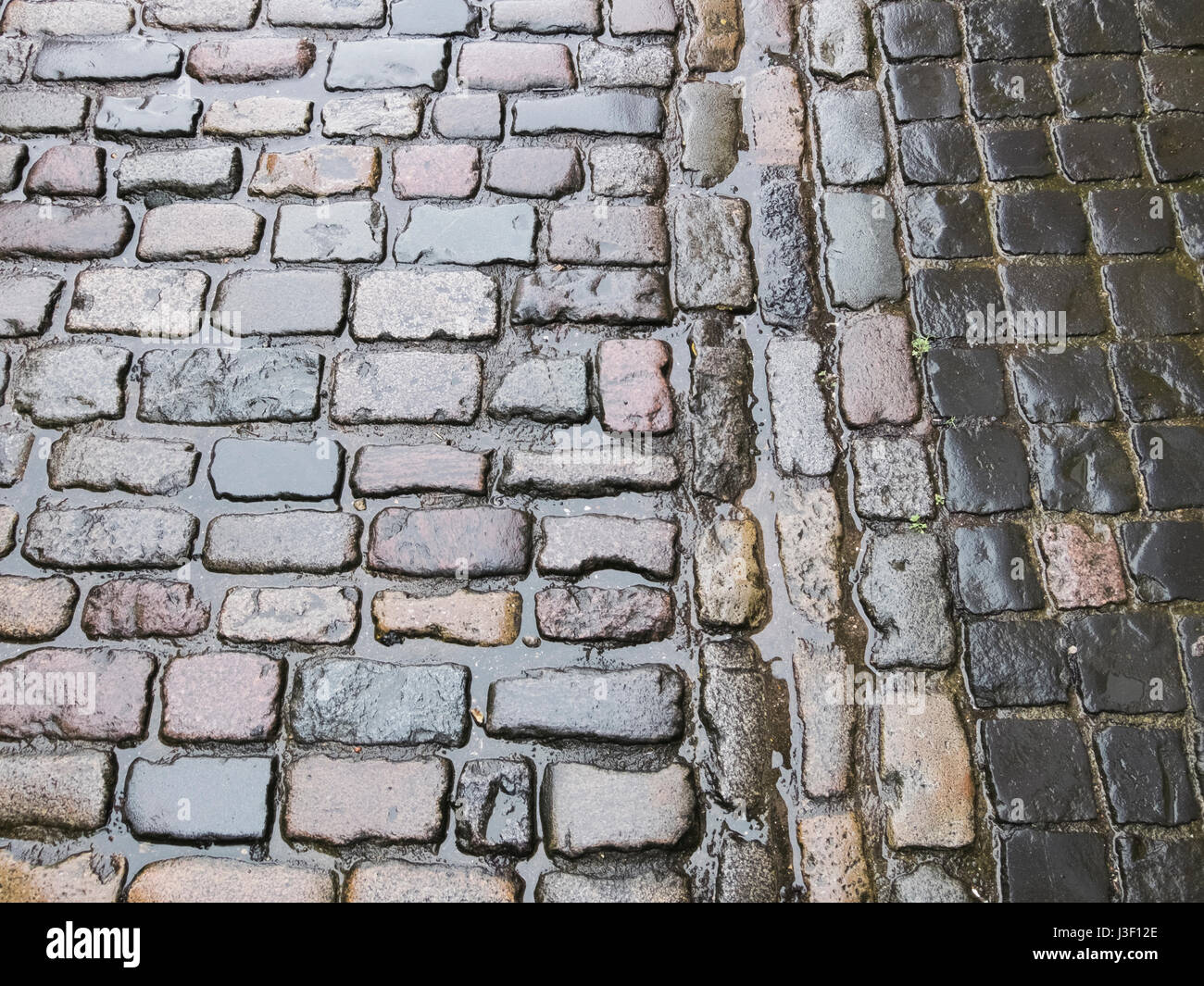 Detail of cobbled street after rain. Norfolk, UK. Stock Photo