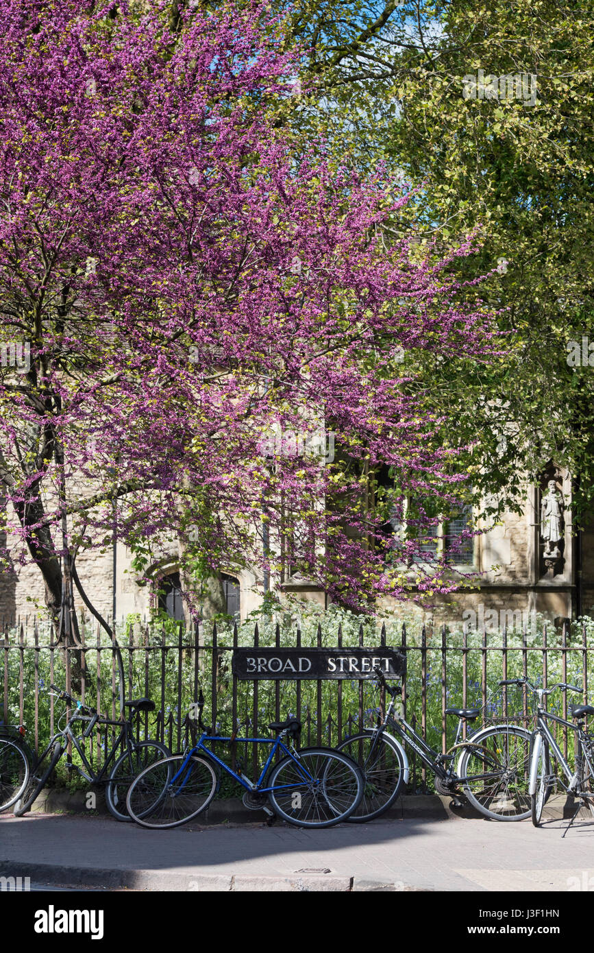 Saint mary magdalen church yard hi-res stock photography and images - Alamy