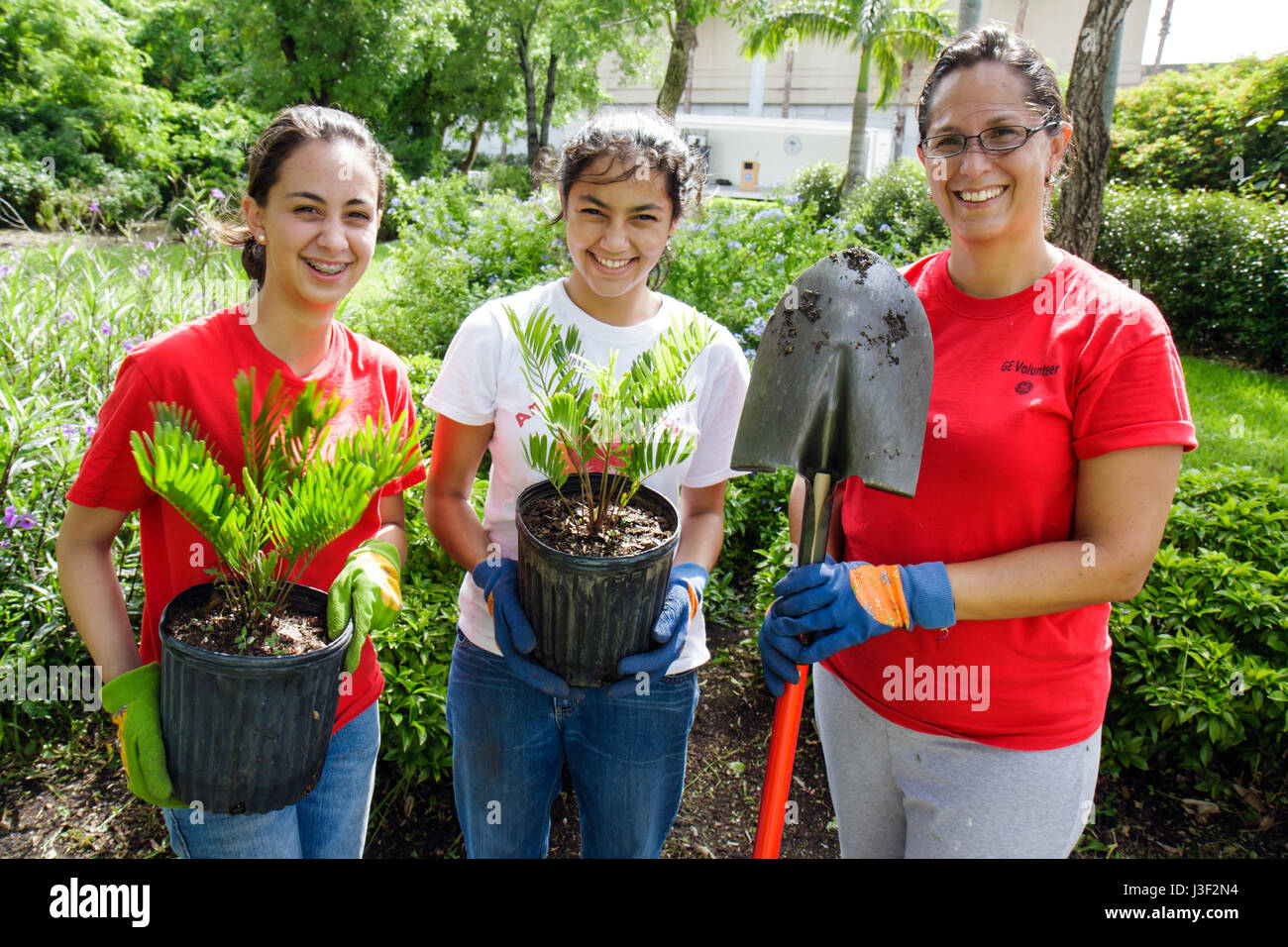 Miami Florida,Little Haiti,Neighborhoods in Bloom Butterfly Garden,volunteer volunteers volunteering work worker workers,working together help,helping Stock Photo