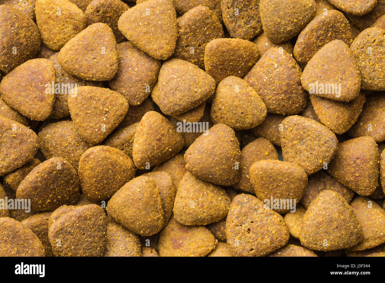 Amazing Dog Food Kibble Landscape Illustration Amazing Dog Food Kibble Landscape Illustration